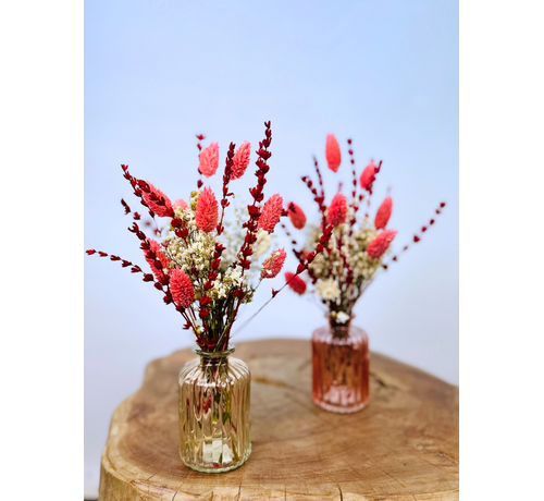 Dry bouquets "Pink Party" incl. vase | 25cm