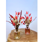 Dry bouquets "Pink Party" incl. vase | 25cm