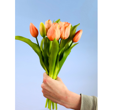 Kunsttulpen "Dutch Splendour" - lachsfarben | 30cm