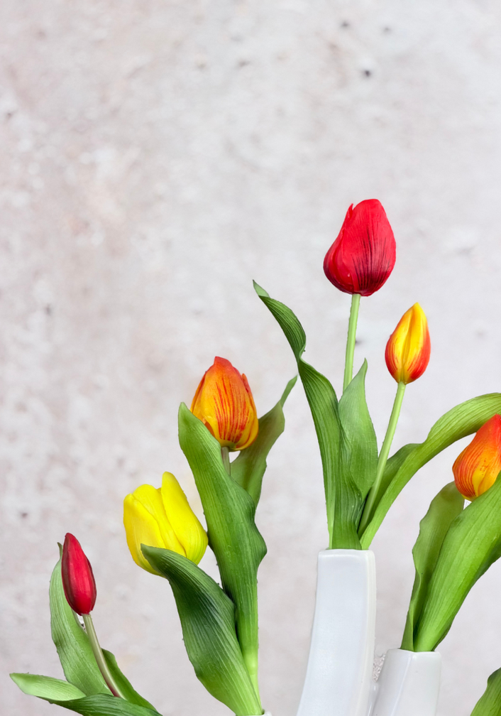 Art Tulpen "Dutch Splendour" - orange/gelb | 30cm