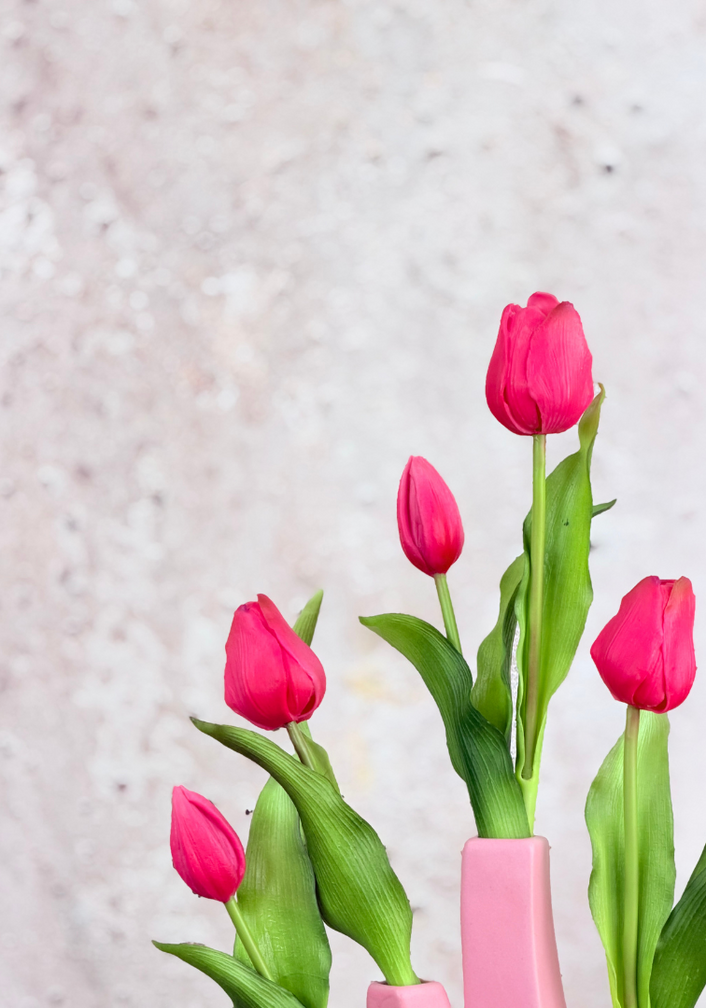 Art tulips "Dutch Splendour" - fuchsia | 30cm