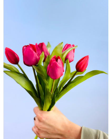 Tulipes d'art "Dutch Splendour" - fuchsia | 30cm