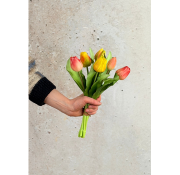 Tulipes d'art "Dutch Splendour" -  pastel mix | 30cm