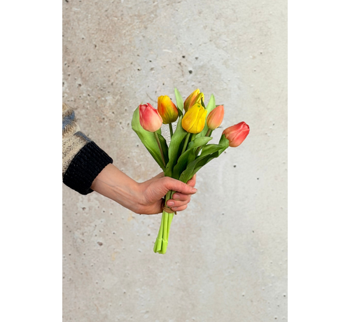 Art tulips "Dutch Splendour" -  pastel mix | 30cm