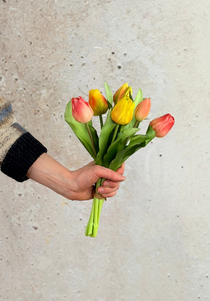 Tulipes d'art "Dutch Splendour" -  pastel mix | 30cm