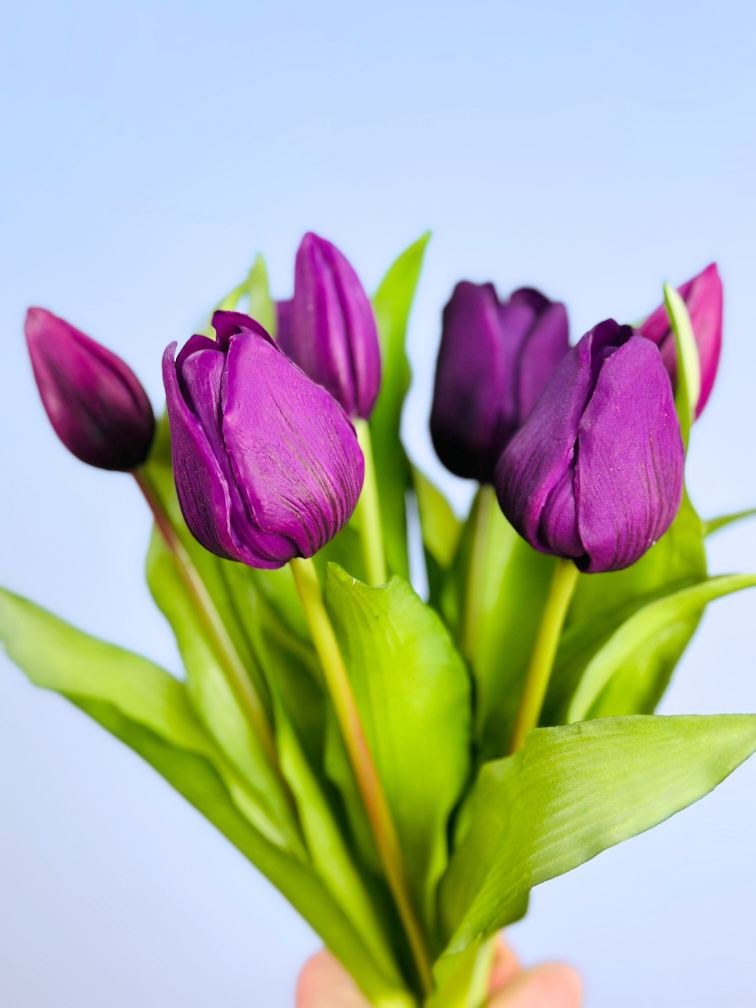 Tulipani artistici "Dutch Splendour" | 30cm - 5 colori