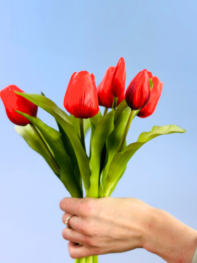 Tulipani artistici "Dutch Splendour" | 30cm - 5 colori