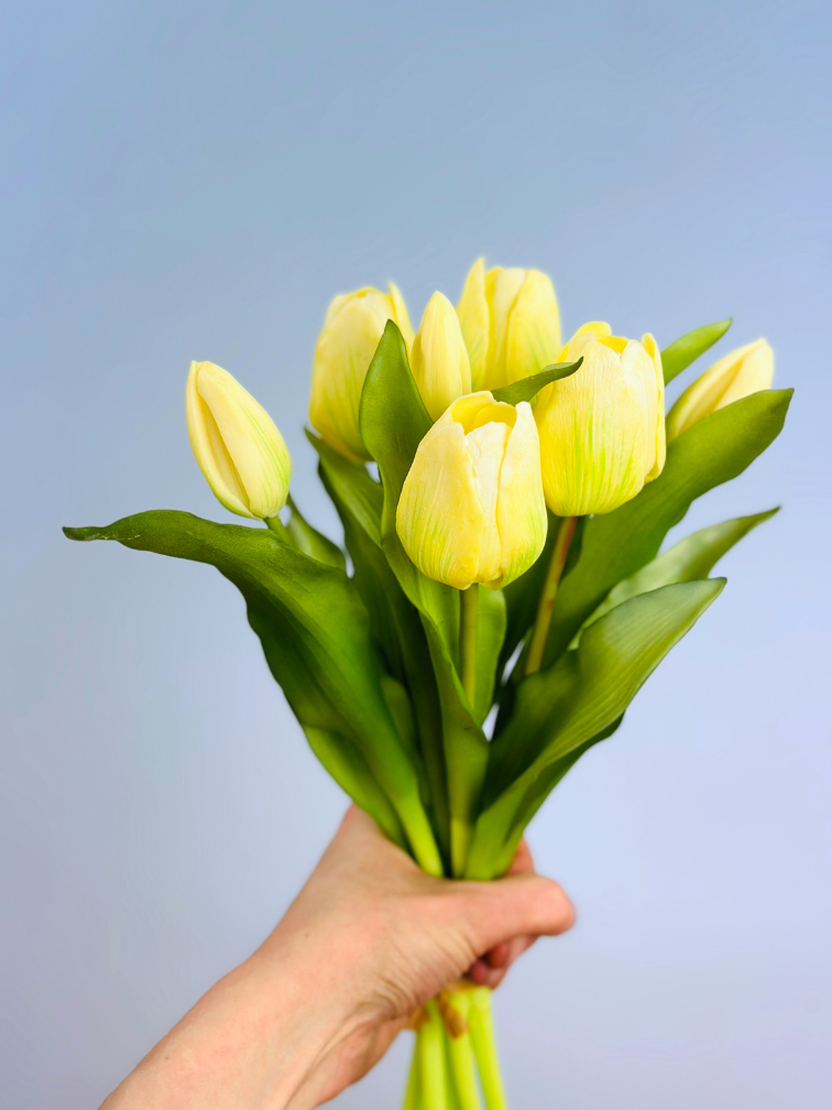 Art tulips "Dutch Splendour" | 30cm - 5 colours