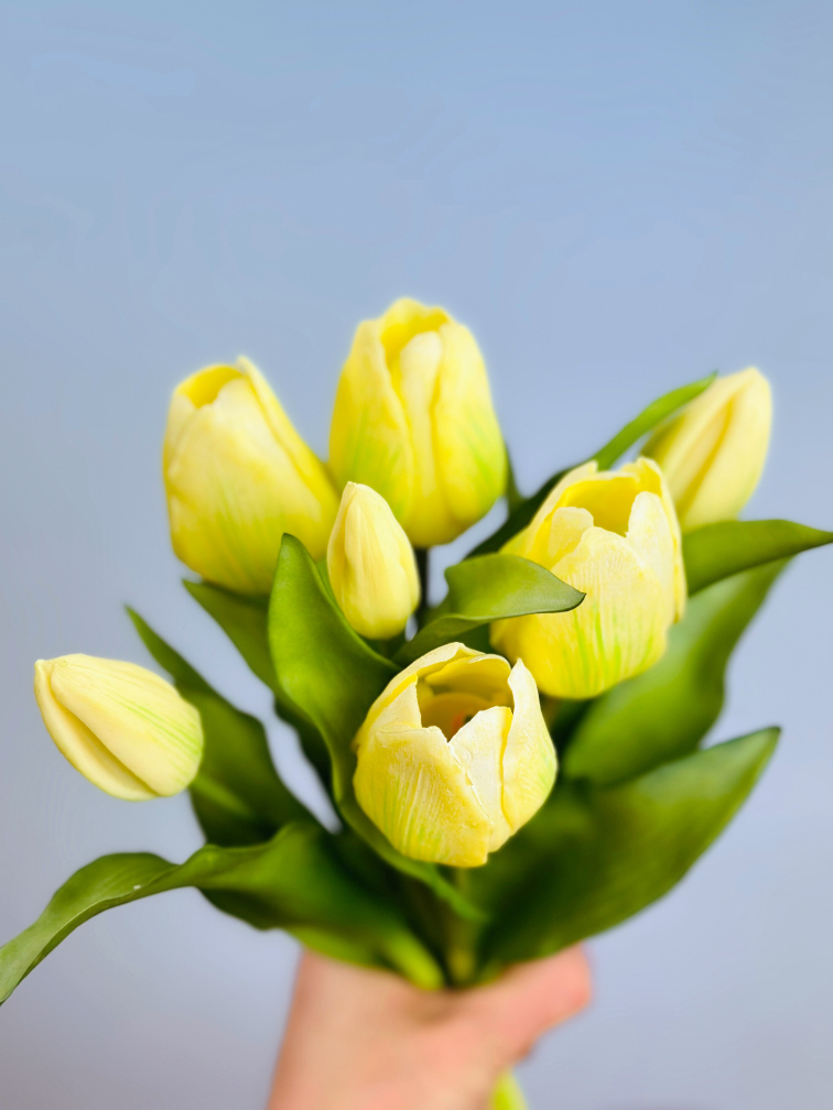 Tulipanes artísticos "Esplendor holandés" | 30cm - 5 colores