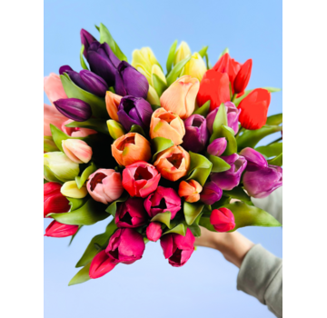 Tulipani artistici "Dutch Splendour" | 30cm - 5 colori