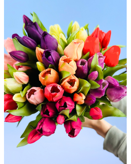 Kunsttulpen "Dutch Splendour" | 30cm - 5 Farben