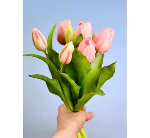 Tulipanes artísticos "Esplendor holandés" | 30cm - 5 colores