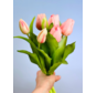 Art tulips "Dutch Splendour" | 30cm - 5 colours