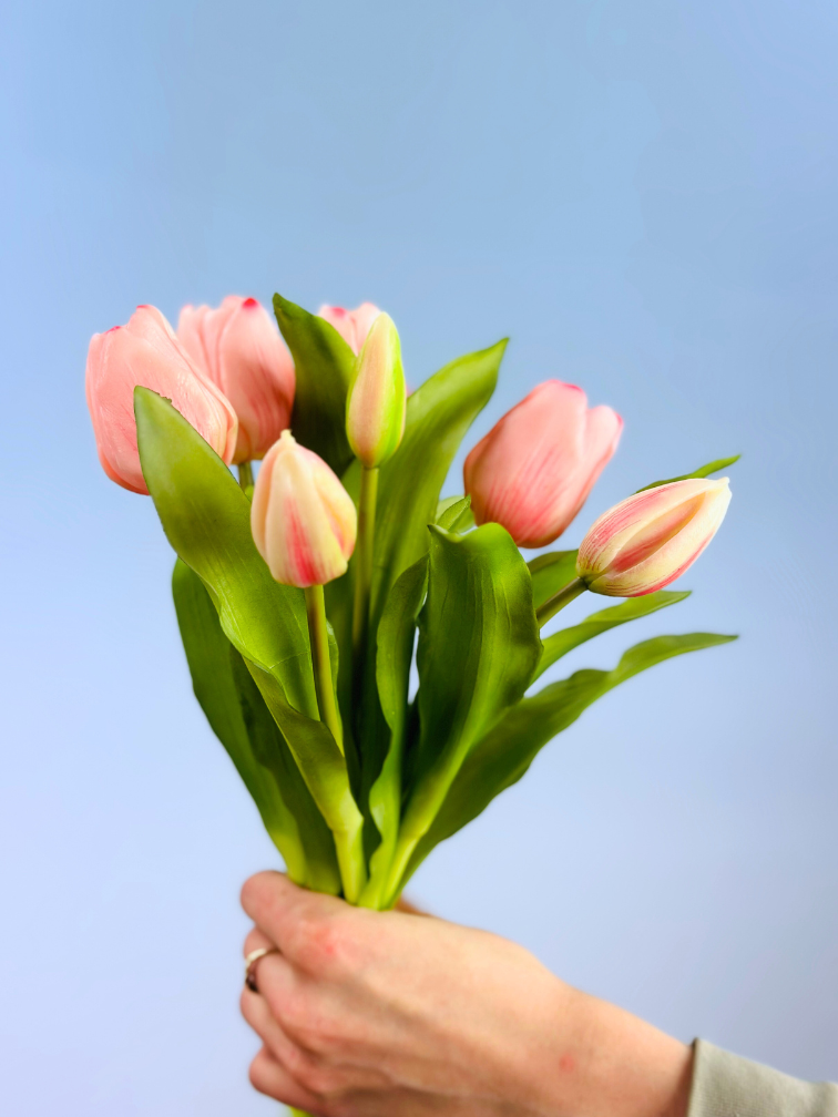 Tulipes d'art "Dutch Splendour" | 30cm - 5 couleurs