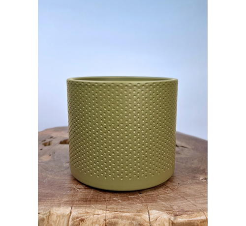 Maceta Ter Steege Era - Verde - 13s15cm