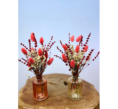 Bouquet di fiori secchi "Rosa Sognante" con vaso incluso | 30cm