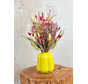Dry flower bouquet "Funky Fiesta" | 40cm - including vase