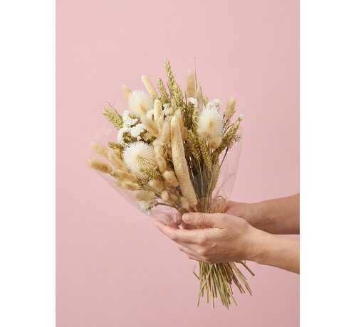 Ramo de flores secas "White Alisson" (grande) | 55 cm