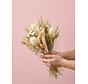 Dry flower bouquet "White Alisson" (large) | 55 cm