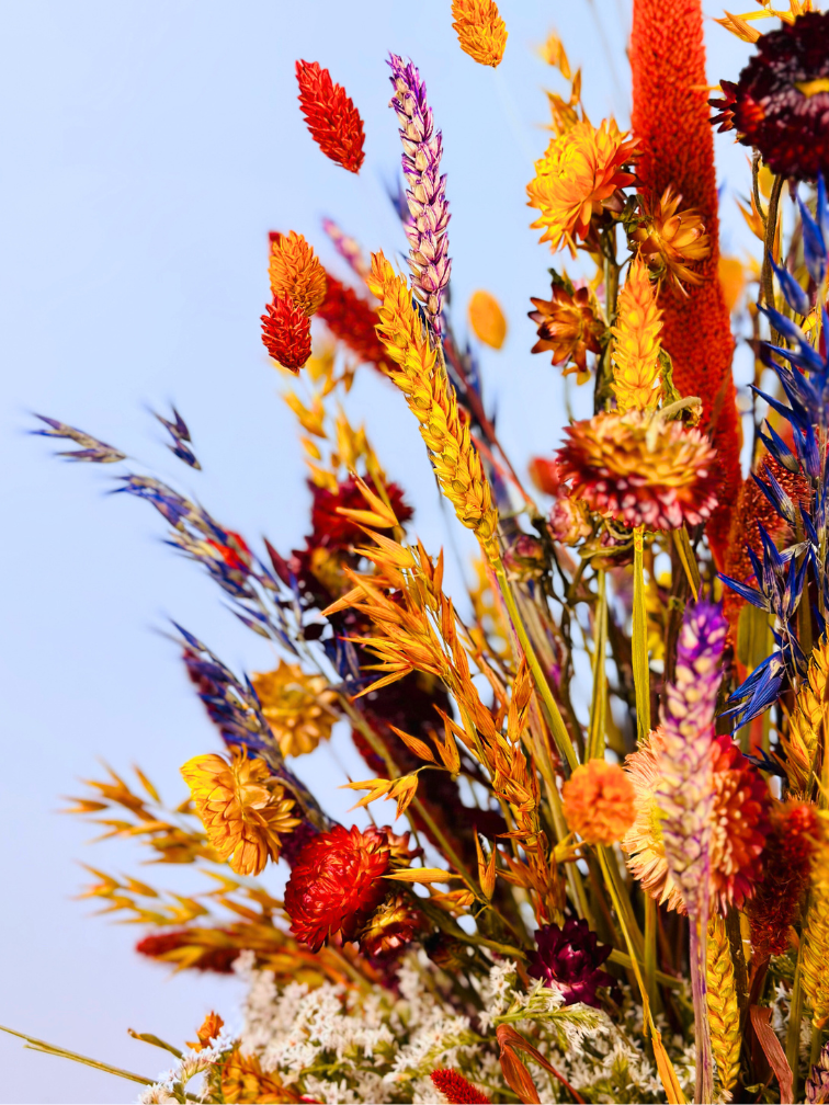 Bouquet di fiori secchi "Warm Sunset" (Grande) - senza vaso | 65 cm