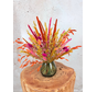 Ramo de flores secas “Autumn's Kiss” – incluye jarrón | 35 cm