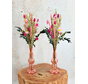 Bouquet de fleurs séchées « Strawberry Fields » avec vase inclus | 35 cm