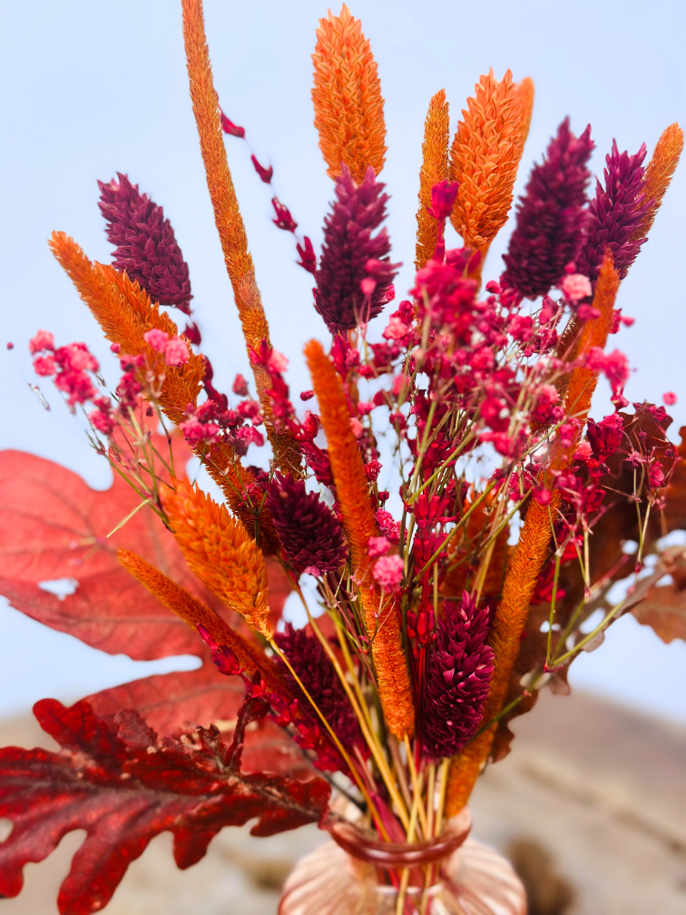 Bouquet di fiori secchi "Orange Glow" incl. vaso