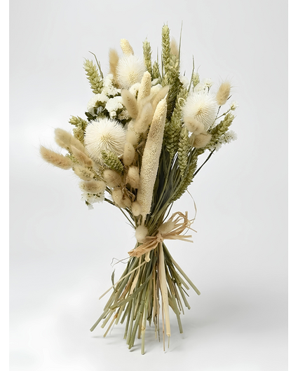 Ramo de flores secas "White Alisson" (grande) | 55 cm