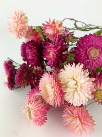 Flowerys.eu | torkade buketter & torkade blommor 