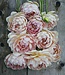 Dahlia Hapet Old Charm