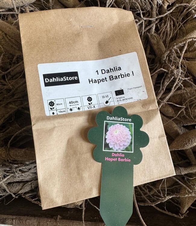 Dahlia Hapet Barbie