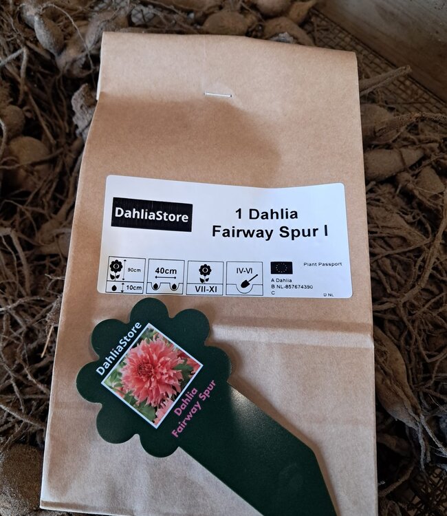 Dahlia Fairway Spur