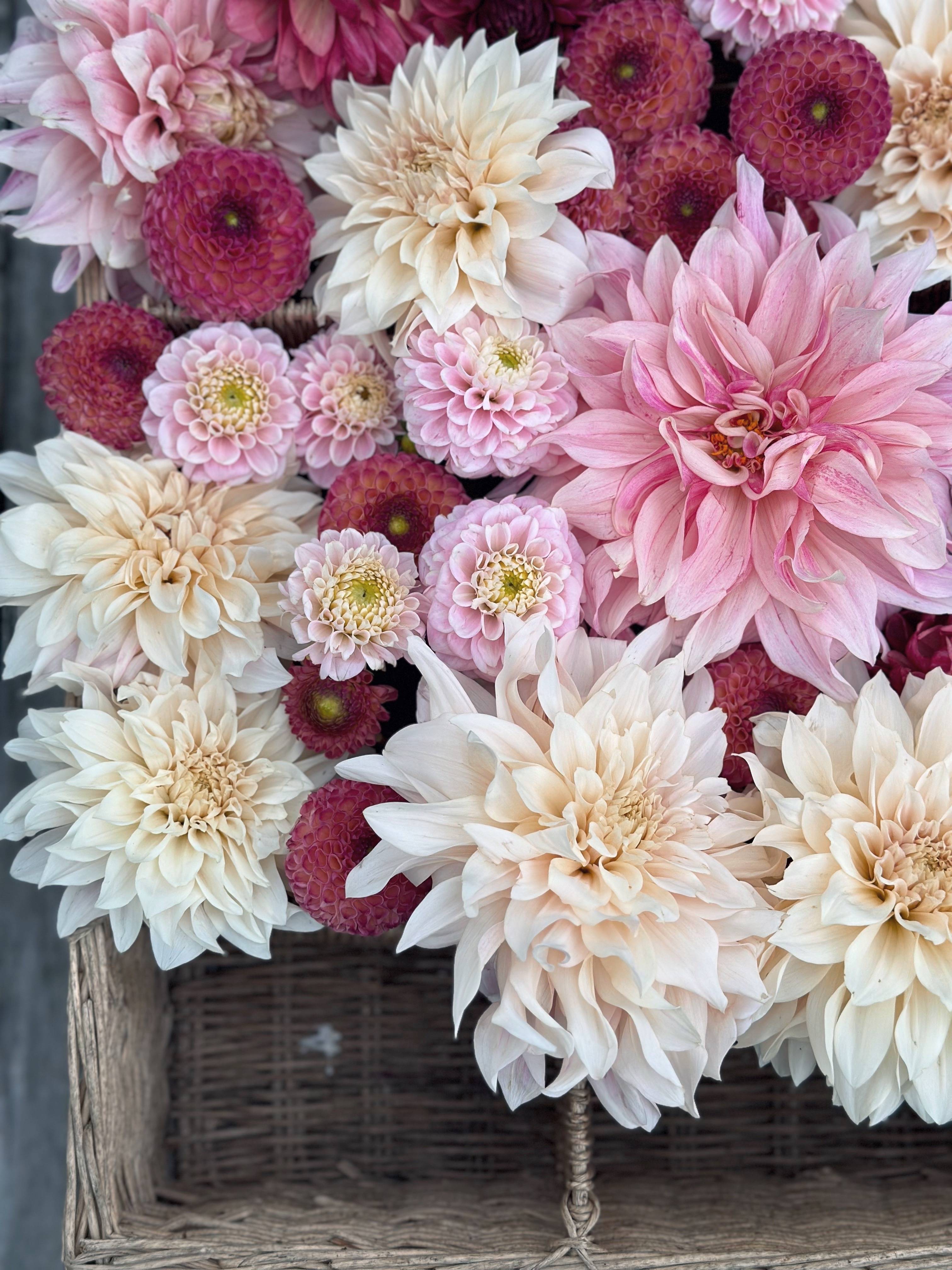 NEW! Michaela's Inspiration