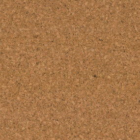 Granorte Lakeret plade korkgulv - Standard - 60 x 30 cm. - Pr. m²