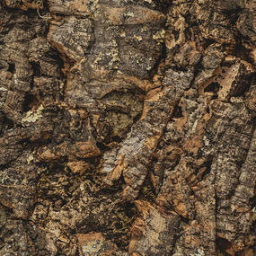 Korkpaneler - Korkeg ru 60x 90 cm