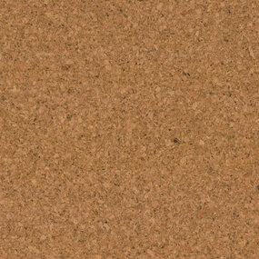 Lakeret plade korkgulv - Paris - 60 x 30 cm. - pro m²