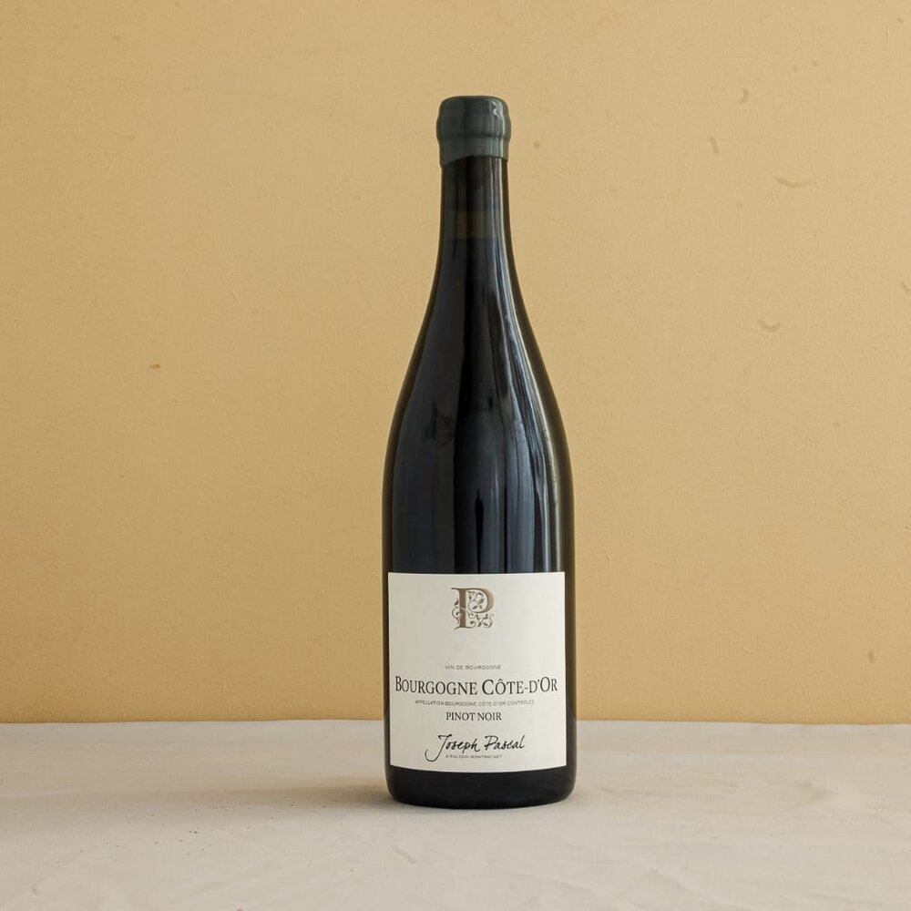 Joseph Pascal Bourgogne Côte d'Or (rouge)