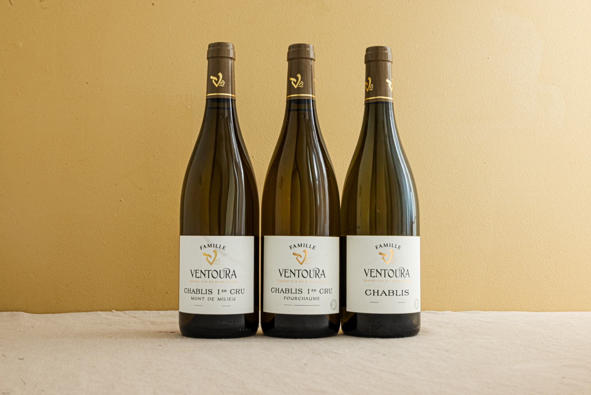 Thomas Ventoura / Chablis, France