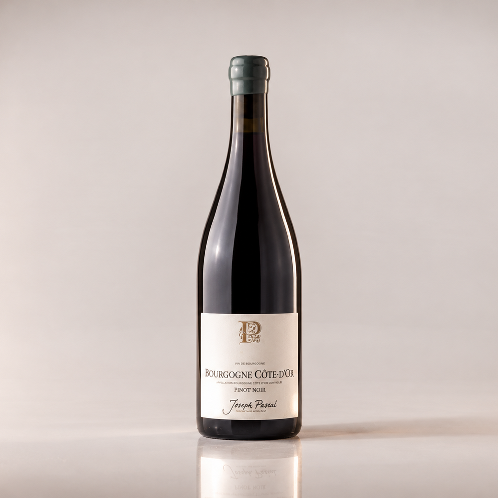 Joseph Pascal Bourgogne Côte d'Or (rouge)