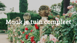 Pimp je tuin! Pimp je tuin!