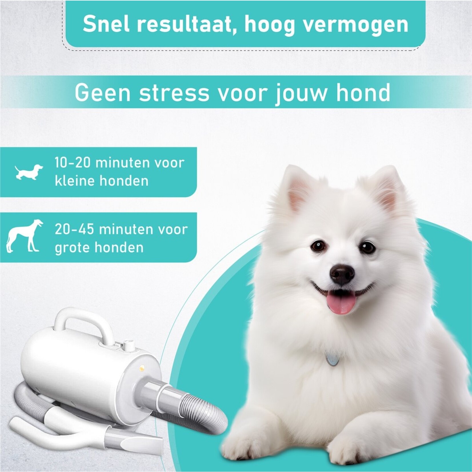 Huisdieren fohn - Droger voor honden - Honden fohn - Grijs