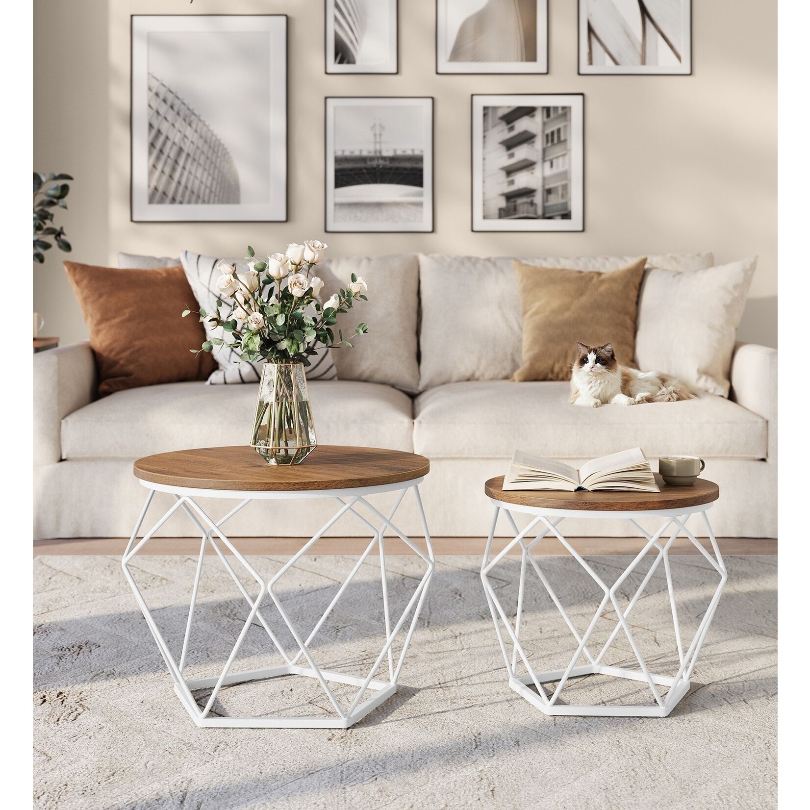 Parya Home Round coffee table, set of 2, side table, modern style, removable top, steel frame, for living room, honey brown and cloud white