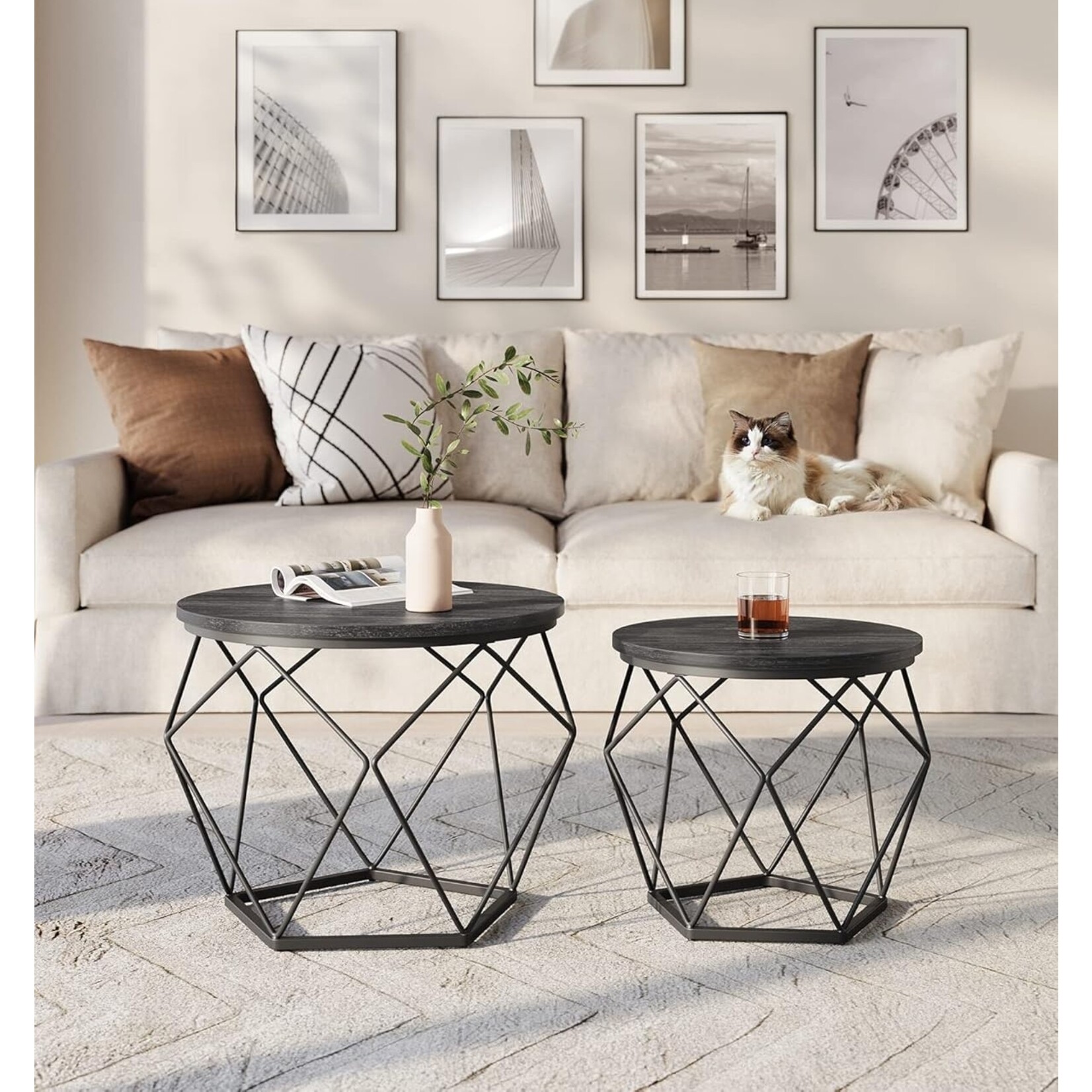 Parya Home Ronde salontafels, set van 2 bijzettafels, moderne stijl, afneembaar tafelblad, stalen frame, voor woonkamer, zwart