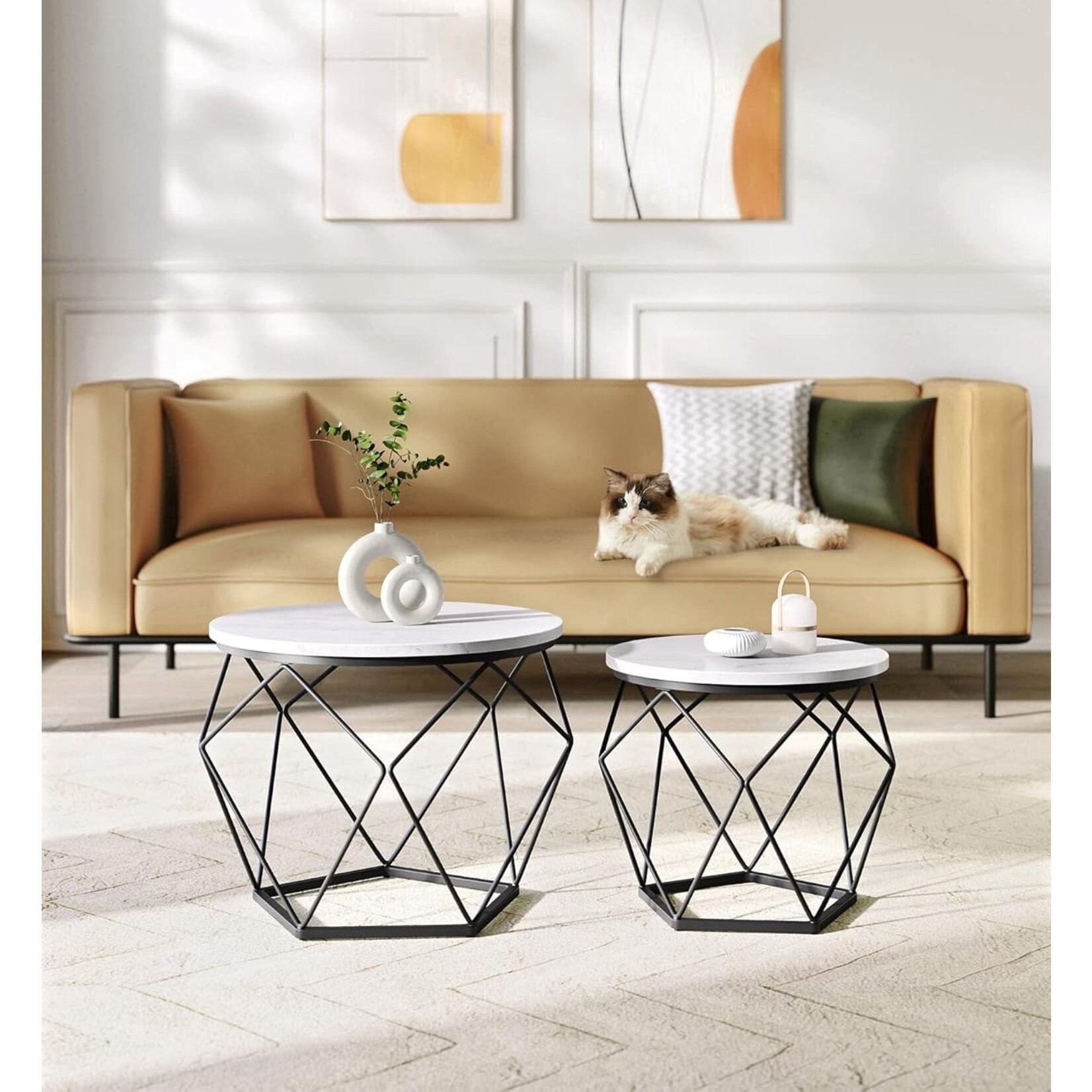 Parya Home Round coffee tables, set of 2 side tables, modern style, removable table top, steel frame, for living room, white and black,