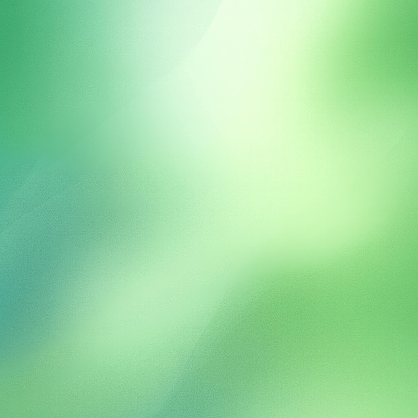 Vlees thermometer mini