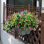 Parya Home Artificial flowers for outdoors, artificial flowers as real art balcony plants, plastic flowers for balconies, indoors, outdoors, gardens