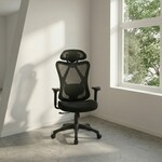 Parya Home Ergonomische Bureaustoel, zwart