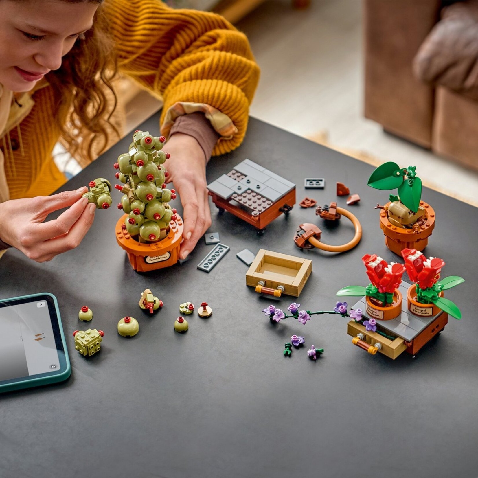 LEGO LEGO Harry Potter 76474 Zweinstein Kruidenkunde Planten 3 Magische Planten 817 Onderdelen