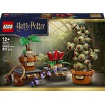 LEGO LEGO Harry Potter 76474 Zweinstein Kruidenkunde Planten