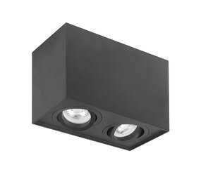 Highlight Spot Maxi Rebel 2-Licht rechteckig schwarz